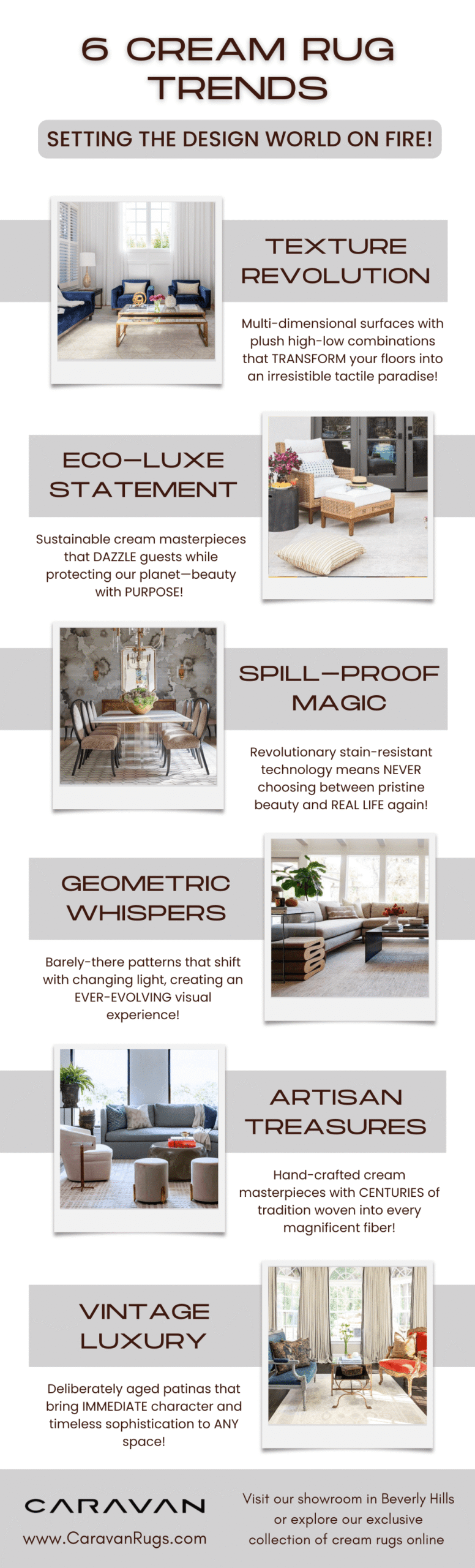 7 CREAM RUG TRENDS Infographic